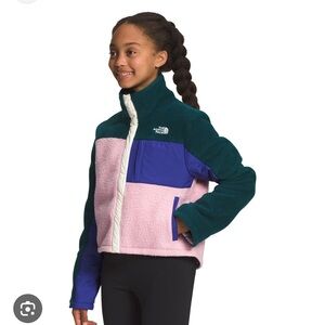 The North Face Multicolor Fleece Jacket